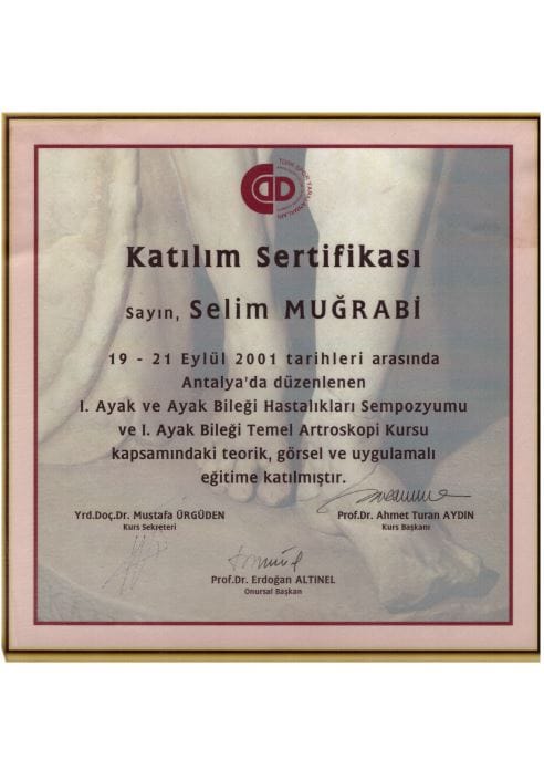 2001 I. Ayak ve Ayak Bilegi Hastaliklari Sempozyumu ve I. Ayak Bilegi Temel Artroskopi Kursu