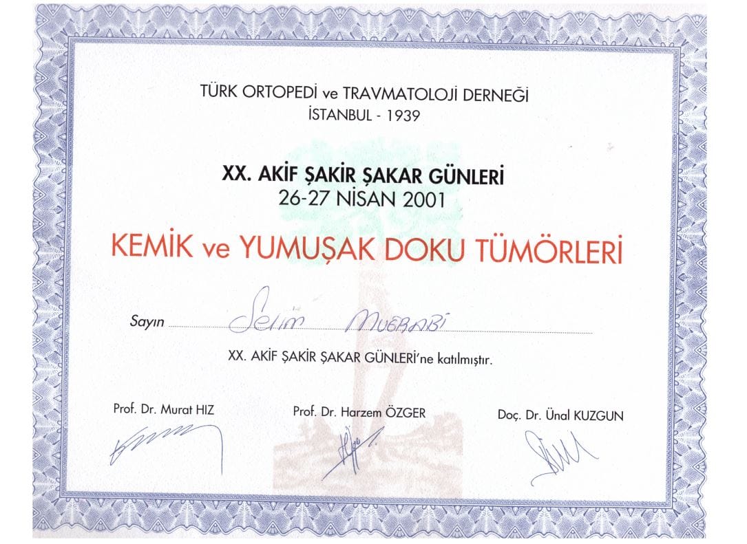 2001 KEMIK VE YUMUSAK DOKU TUMORLERI