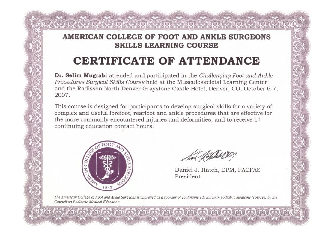 2007 AMERICAN COLLEGE OF FOOT AND ANKLE SURGEONS SKILLS LEARNING COURSE