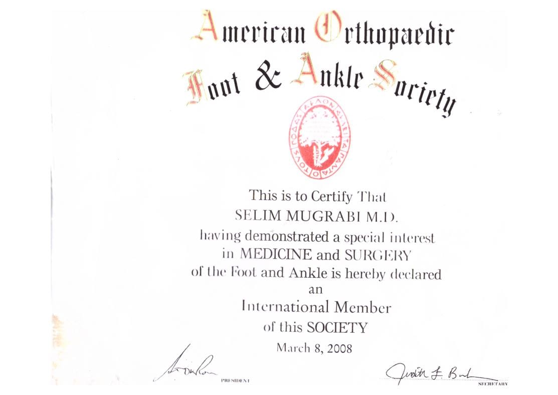 2008 American Orthopaedic Foot Ankle Society